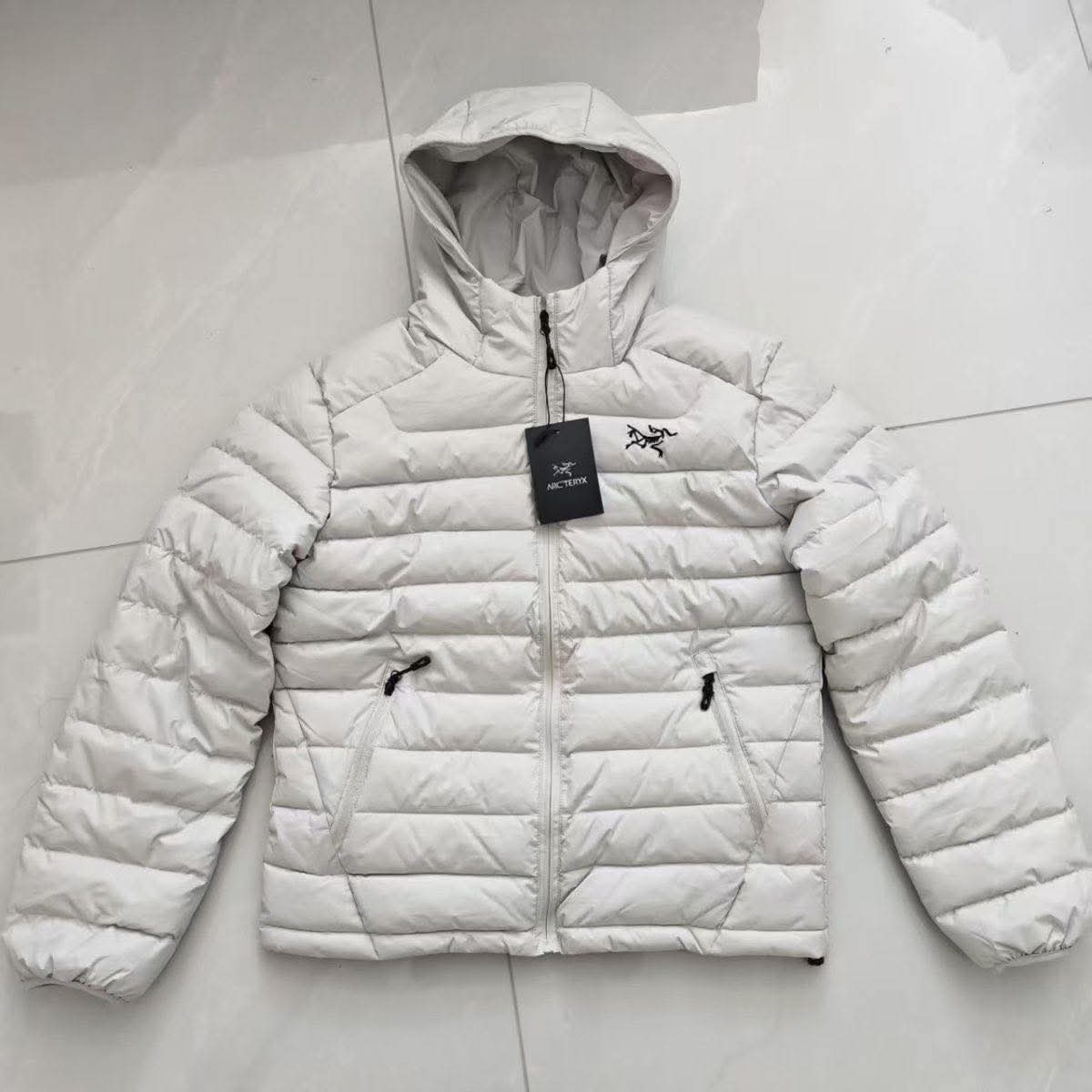 Arcteryx winter jacket 